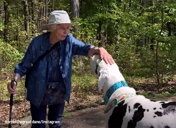 森の散歩が趣味の老夫婦と出会った犬、のちに夫を亡くしたおばあさんの心の支えに