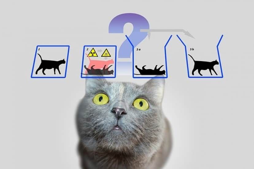 シュレーディンガーの猫
