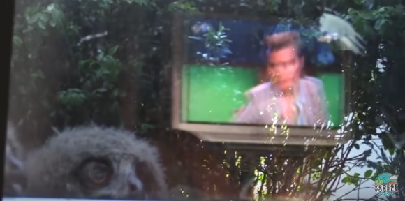 TV_e