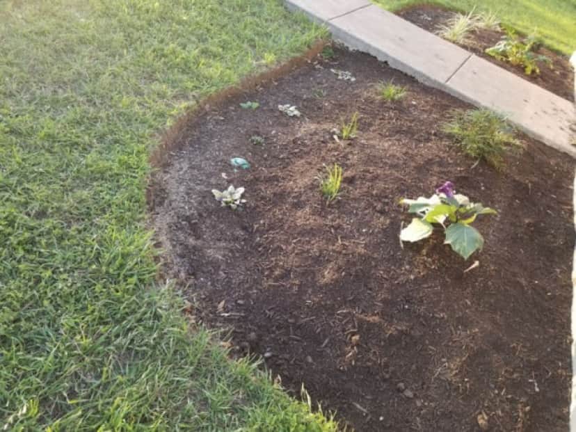 garden2_e