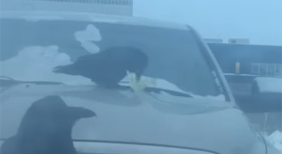 03