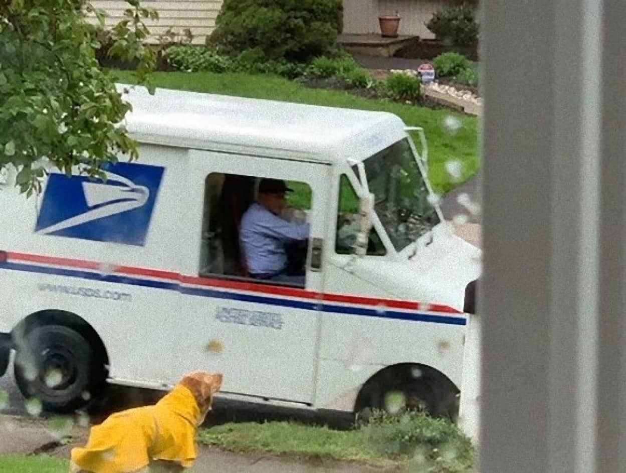犬と配達員の友情