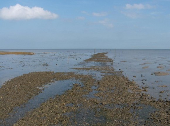 イギリスで一番危険な小道「ブルームウェイ」