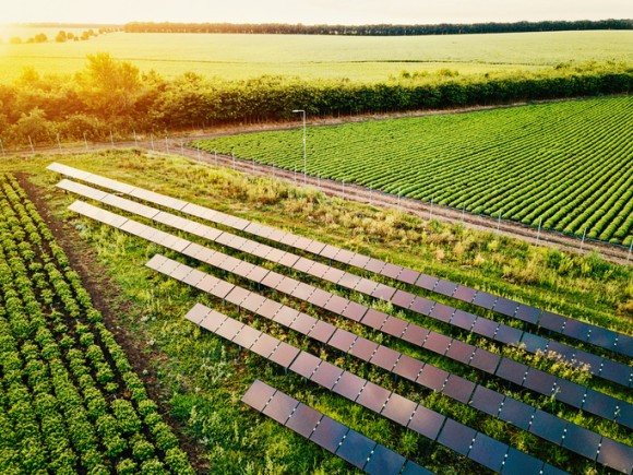 太陽光発電のソーラーパネルに予想外の効果が！パネルの下に日光が苦手な農作物の畑を作るとウィンウィンの関係に（米研究）