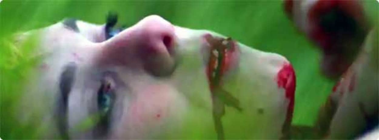 アメリカ版バトルロワイヤル 映画 ハンガー ゲーム The Hunger Games の公開目前でネット公開されたファンが作ったショートフィルム カラパイア アメリカ版バトルロワイヤル 映画 ハンガー ゲーム The Hunger Games の公開目前でネット公開されたファンが作ったショートフィルム カラパイア