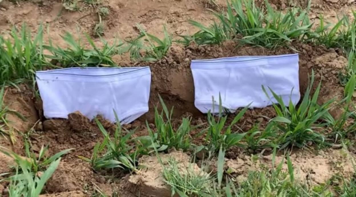 スイスで白いパンツを土に埋めるプロジェクトが実施中