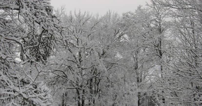 winter-75482_640(1)_e