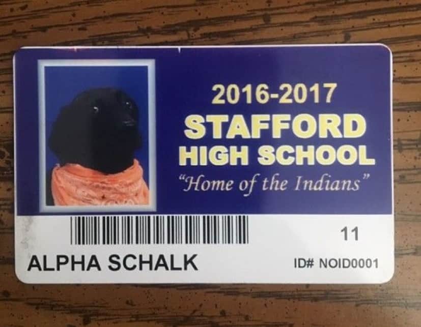studentid_e