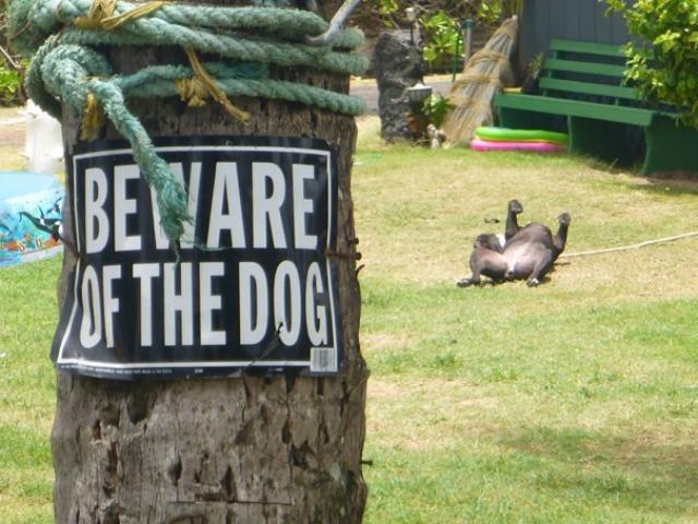 猛犬注意 の看板と注意されるべき犬たちのツーショット カラパイア
