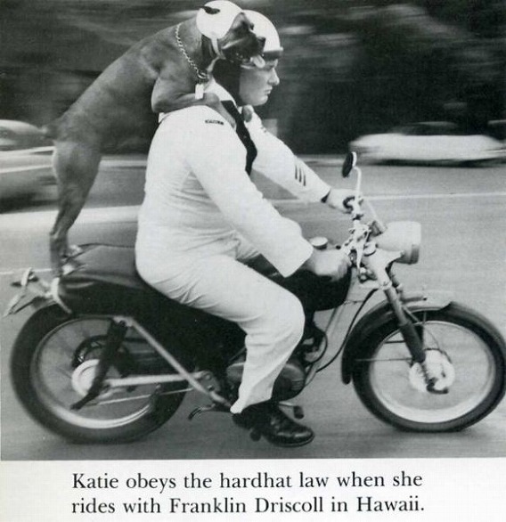 classic_life_magazine_photos_16