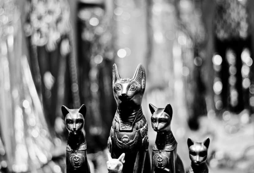iStock-1059311986