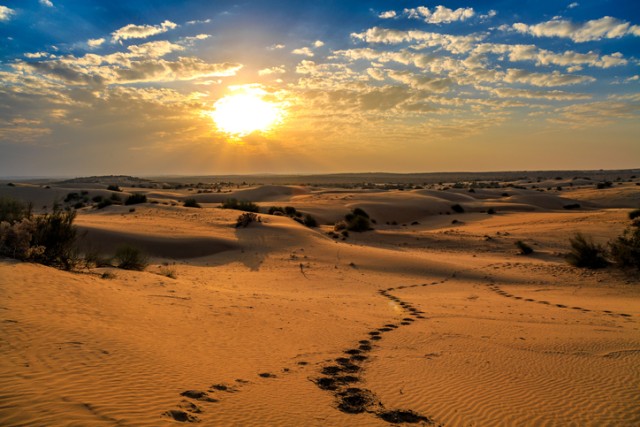 インド、タール砂漠で史上最大の地上絵が発見される