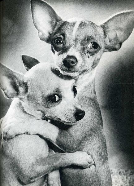 classic_life_magazine_photos_10