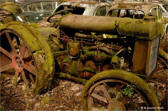 cars_14