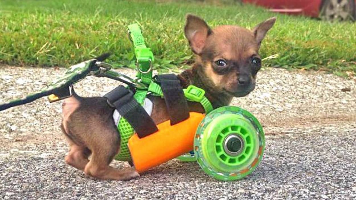 turboroo-3d-printinga