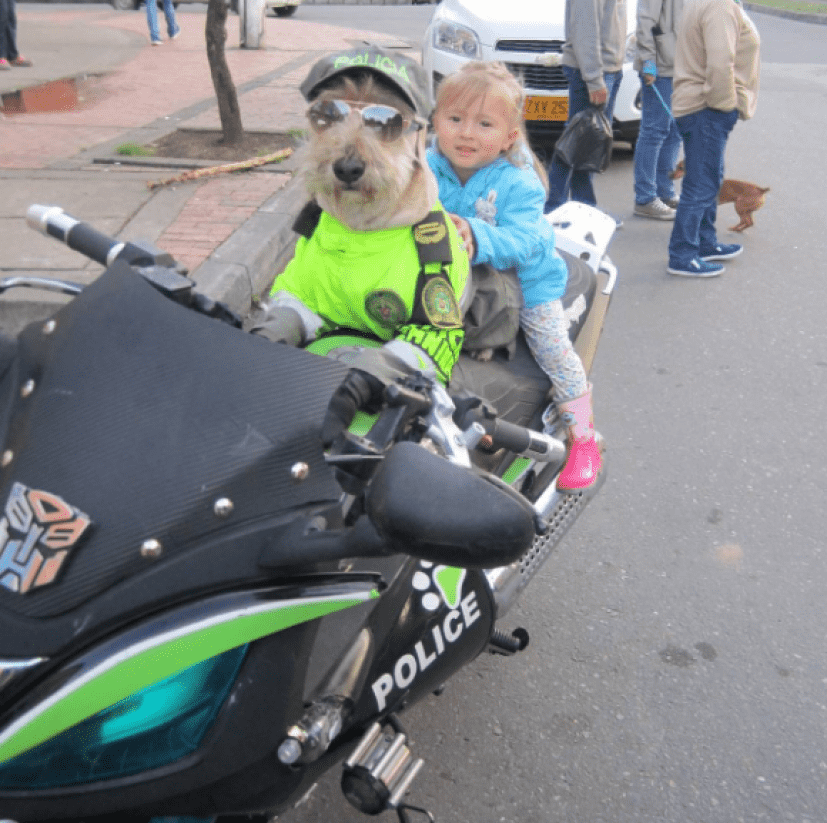 police9_e