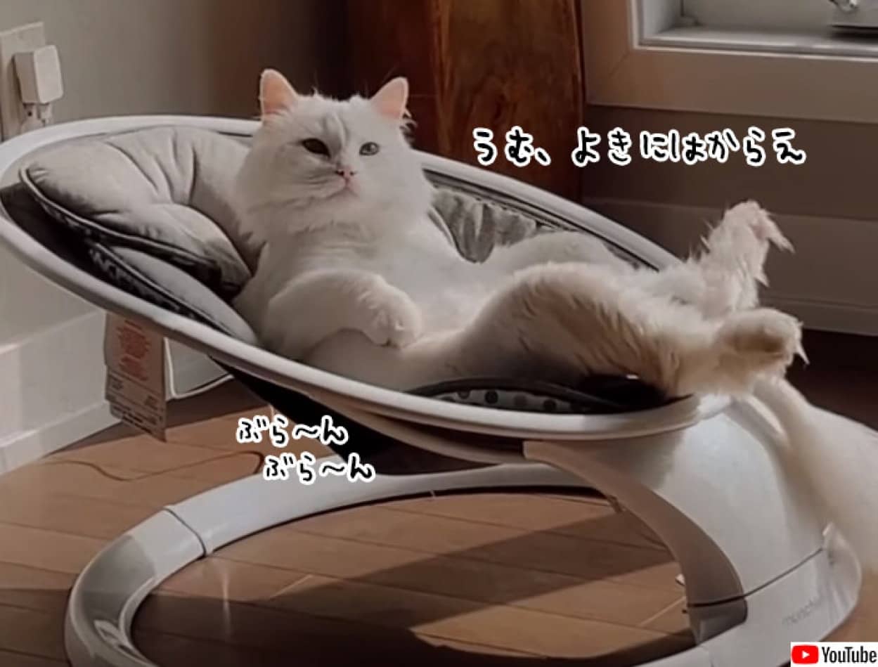 ¥Ù¥Ó¡¼¥Á¥§¥¢¤Ç¤¯¤Ä¤í¤°²¦ÍͤΤ褦¤ÊÇ