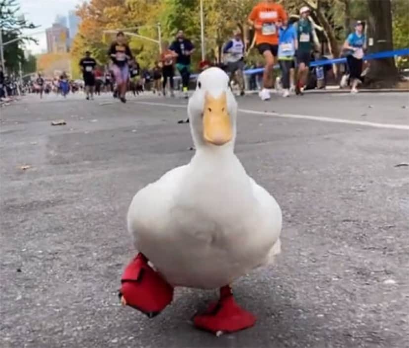 no title