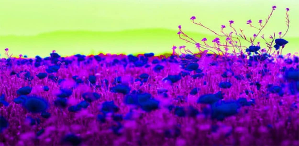 さあ騙されよう モノクロ写真なのにカラーに見えちゃう面白錯視 カラパイア さあ騙されよう モノクロ写真なのにカラーに見えちゃう面白錯視 カラパイア