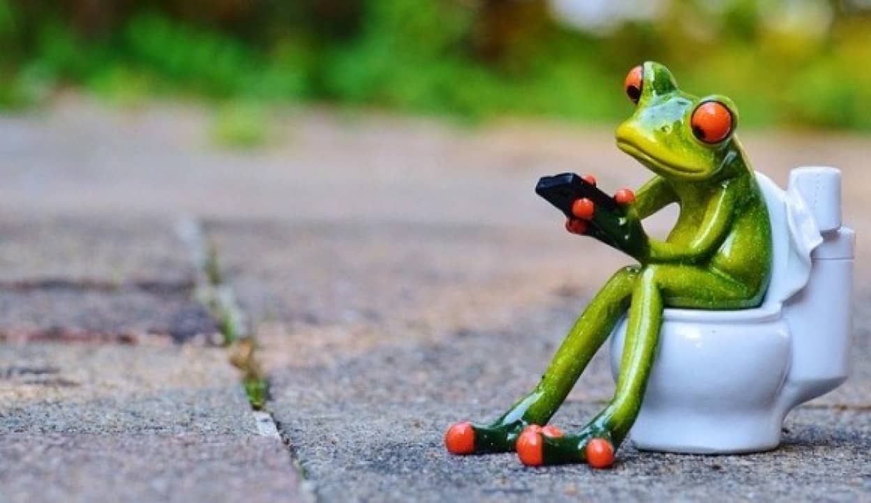 frog-914131_640_e
