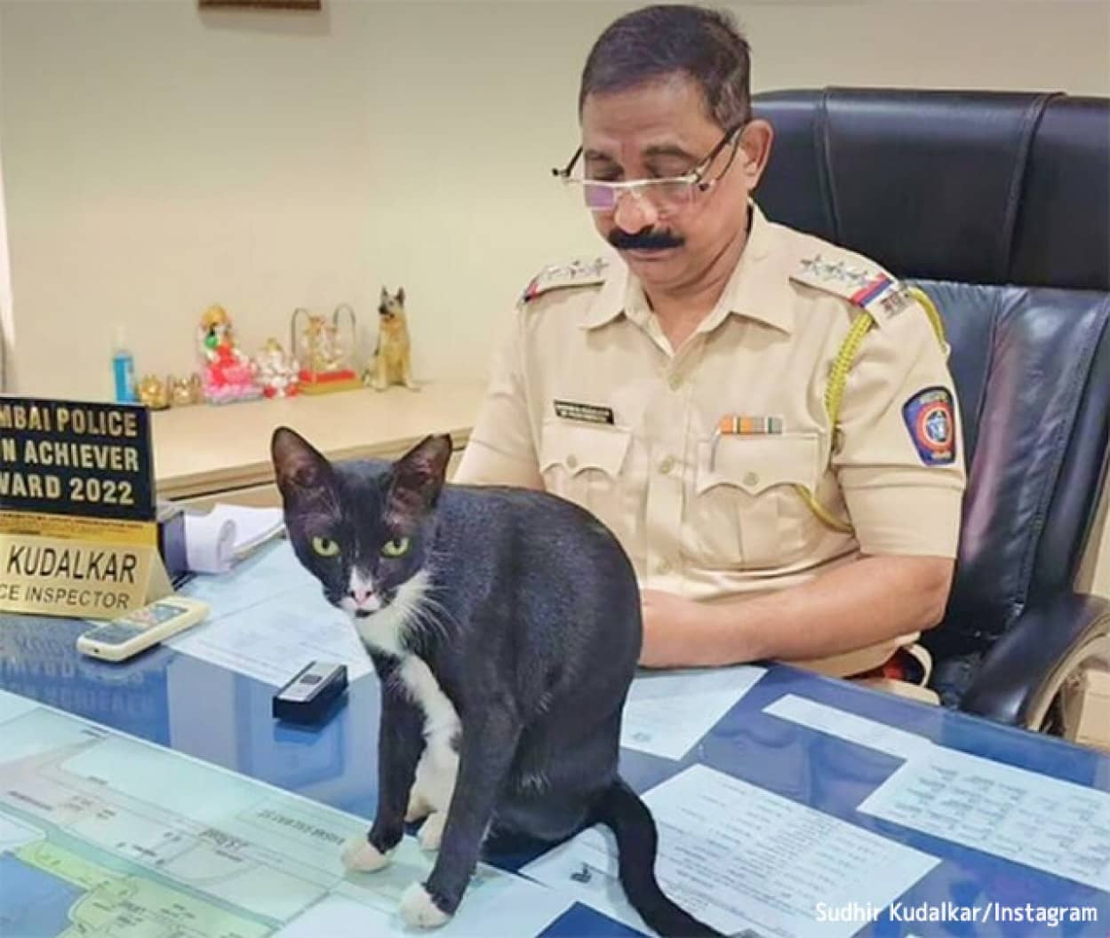 ムンバイ警察署で一番偉いのは猫