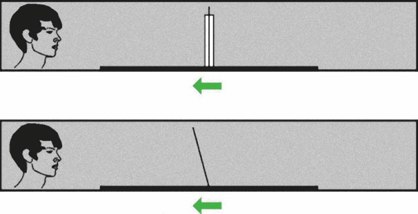 視線実験