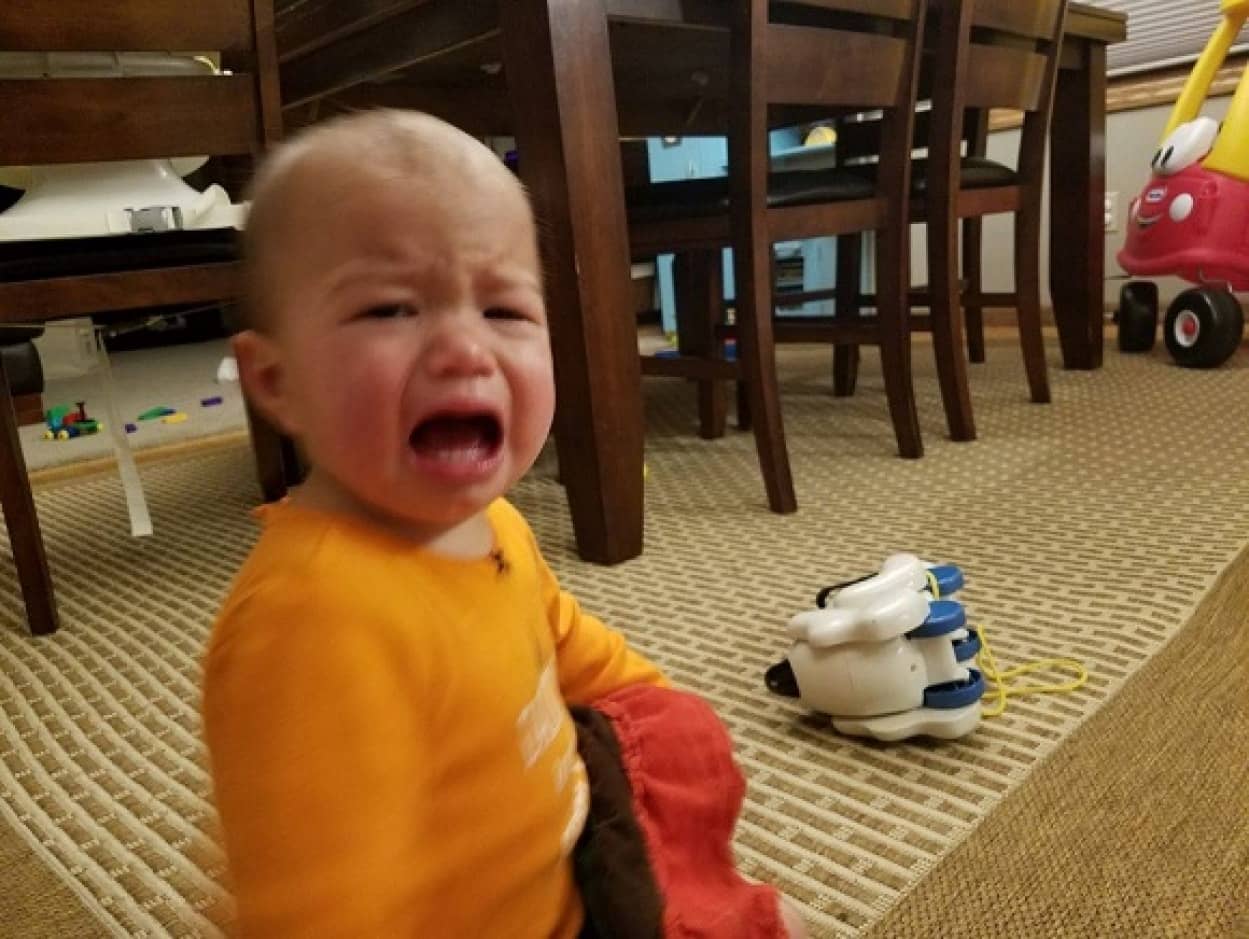 泣くのが仕事なのは知っていたけども 子どもたちが泣く理由があまりにも理不尽だった カラパイア 泣くのが仕事なのは知っていたけども 子どもたちが泣く理由があまりにも理不尽だった カラパイア
