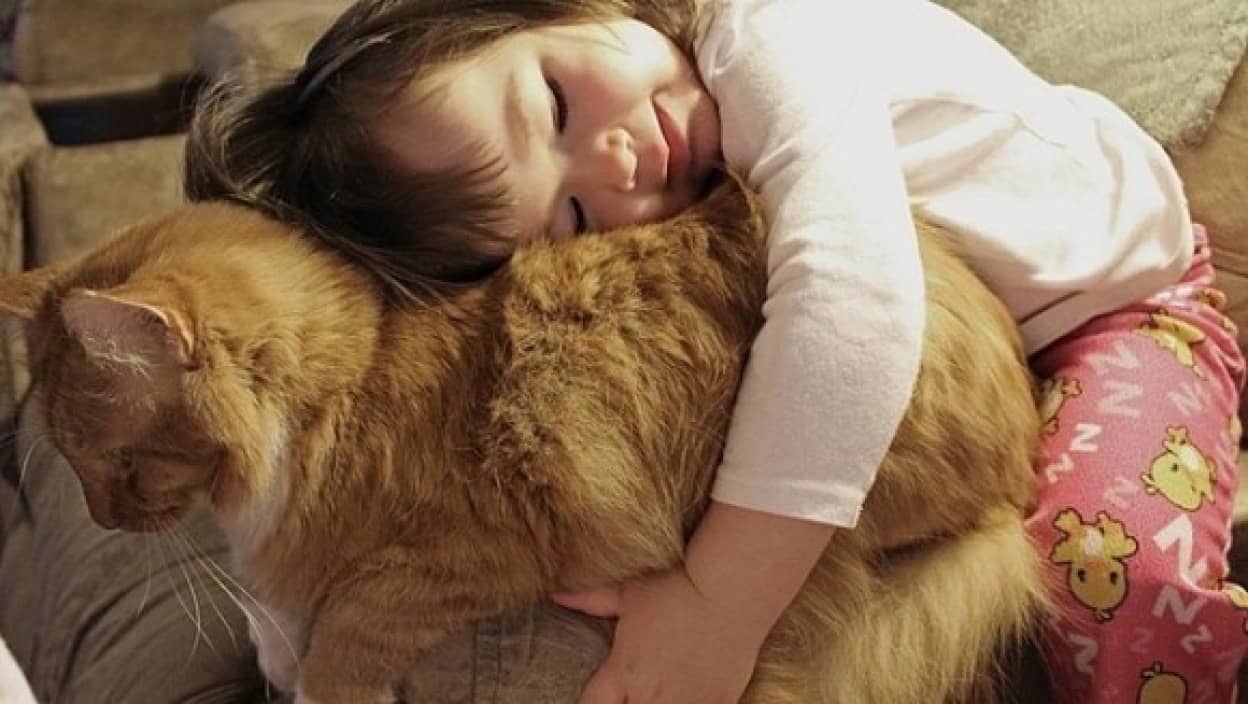 そこにいてくれるだけでいい 存在だけで癒される 猫と人間のぽっかぽか写真 カラパイア そこにいてくれるだけでいい 存在だけで癒される 猫と人間のぽっかぽか写真 カラパイア