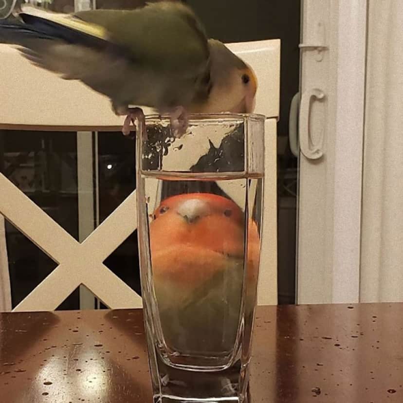 7_e