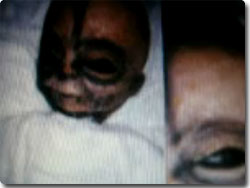 新たなる宇宙人の死体画像か カラパイア