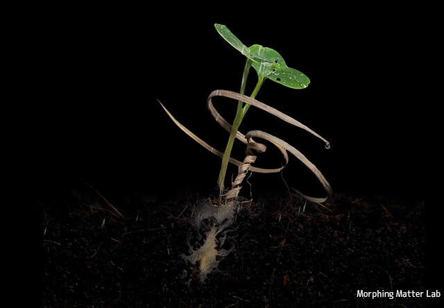 土の中を掘り進んで植物が種を埋めるのを補助し、成長を助ける装置が開発される