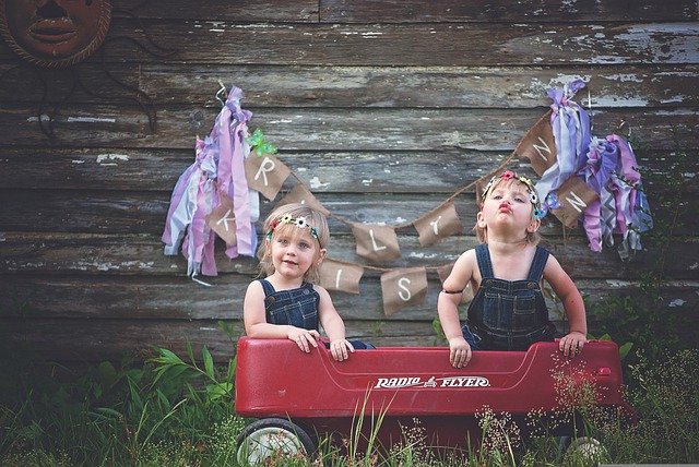 twins-757404_640
