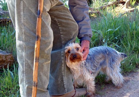 老人に生きる希望を与えたのは、近所に住む3匹の犬だった