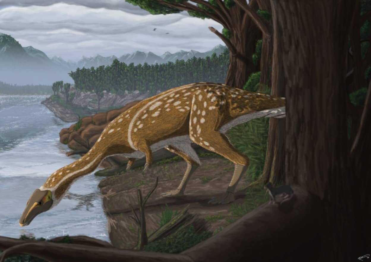エラフロサウルス