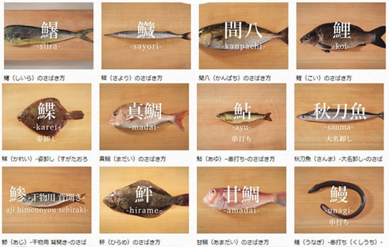 あらゆる魚 さばきます サバやアジからスッポン 貝まで 魚のさばき方が網羅された 日本さばけるプロジェクト カラパイア