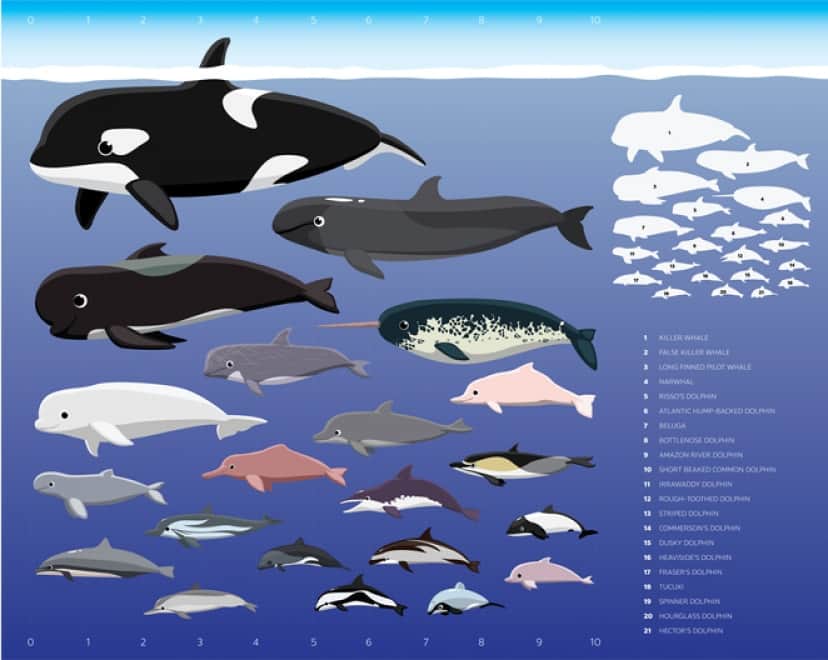iStock-1420042022