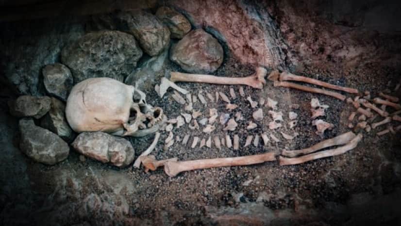初期人類の骨