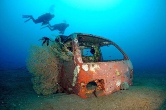 cars_reef_30_e