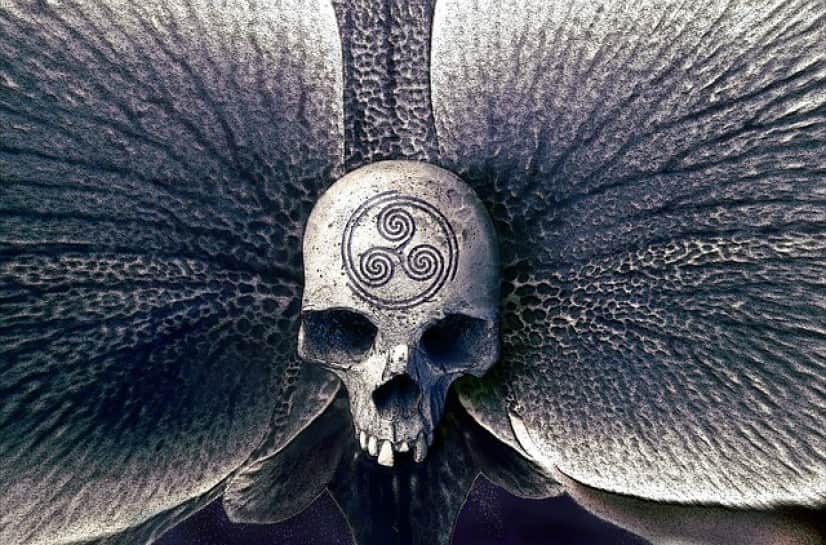 skull-2208861_640