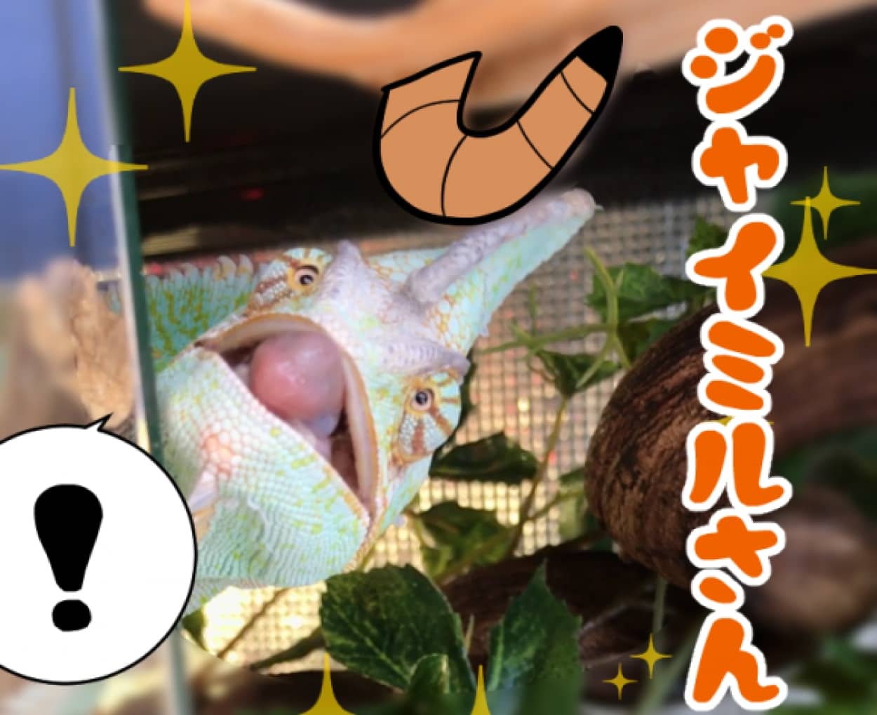 サムネ_e