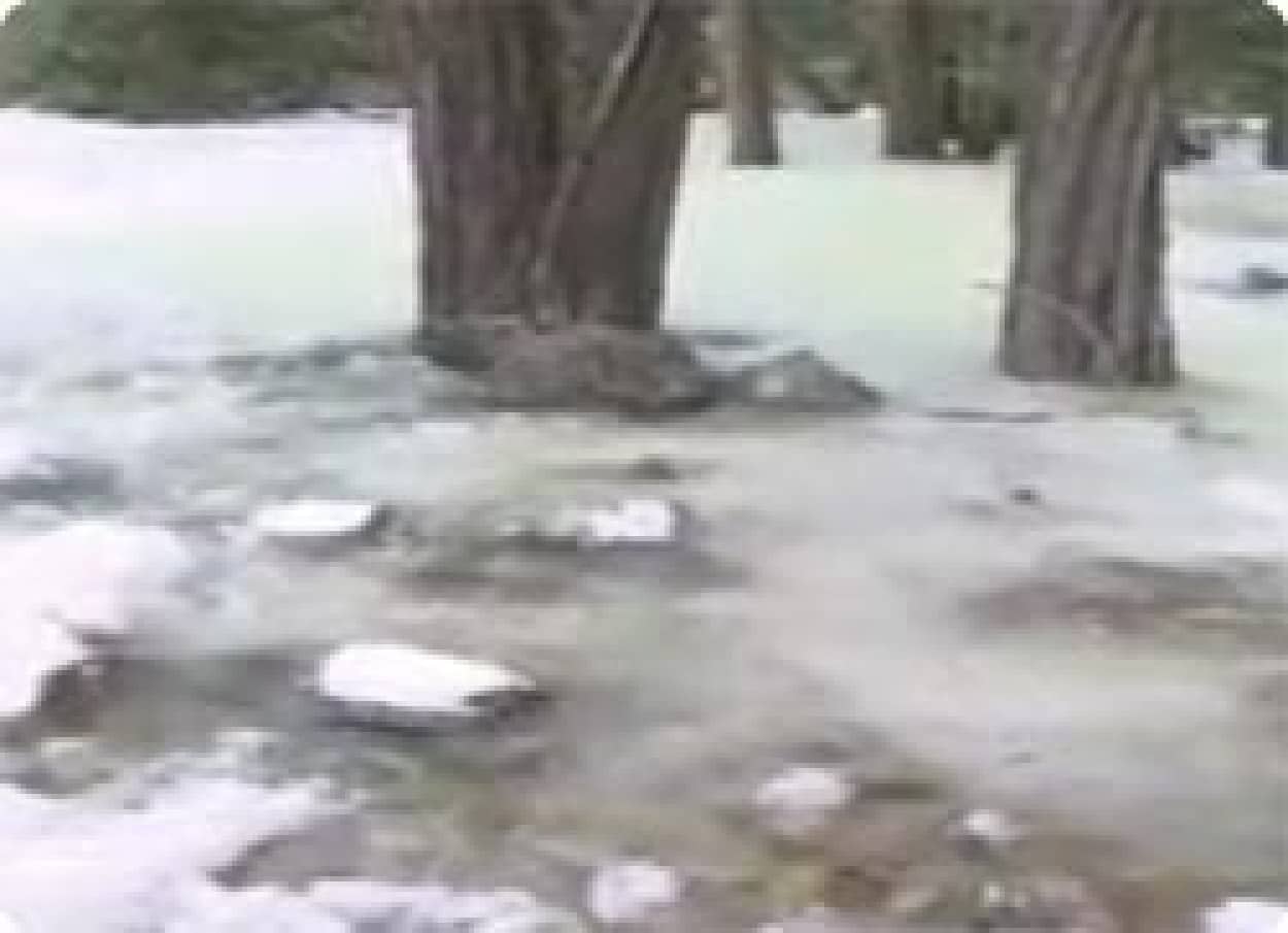 水