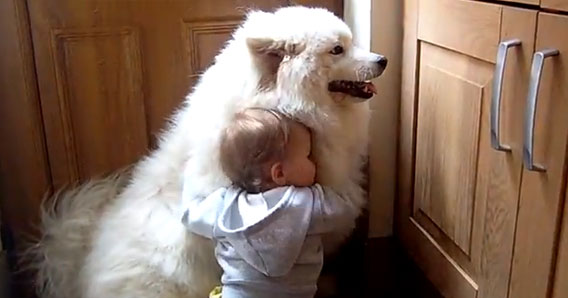 大好き 大きな白い犬と小さき少女のラビングユー カラパイア