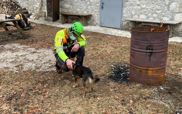 ハイキング中遭難した男性、愛犬が支えとなり無事生還