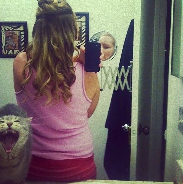 funny-cat-photobombs-46-58e38ecd6f3e1__605_e