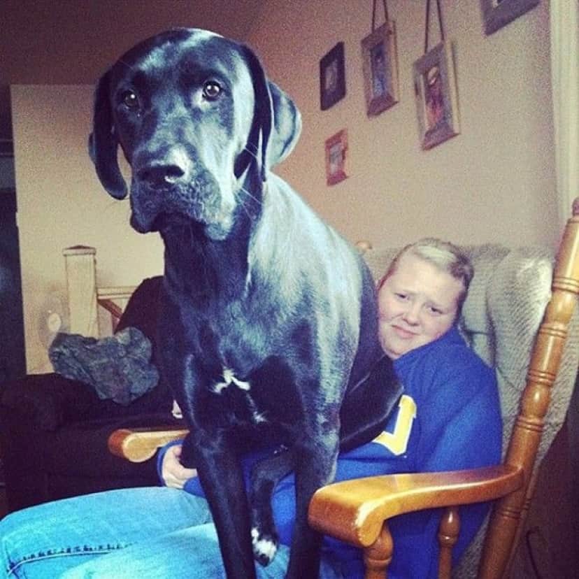 big-puppy15_e
