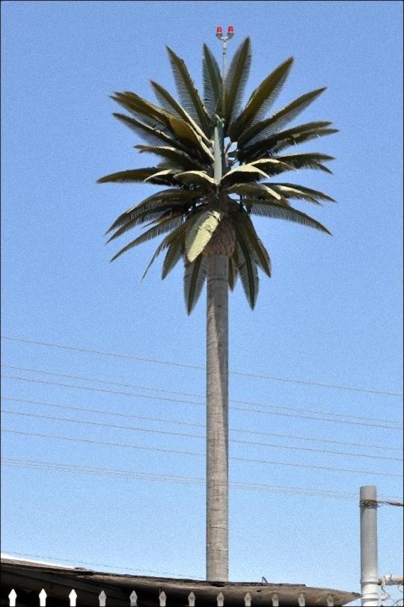 camouflaged_cell_phone_tower_19_e