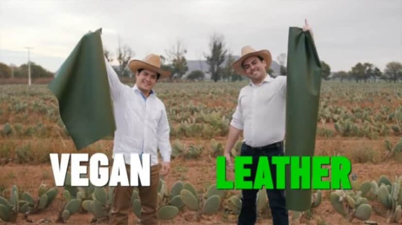 vegan leather_e