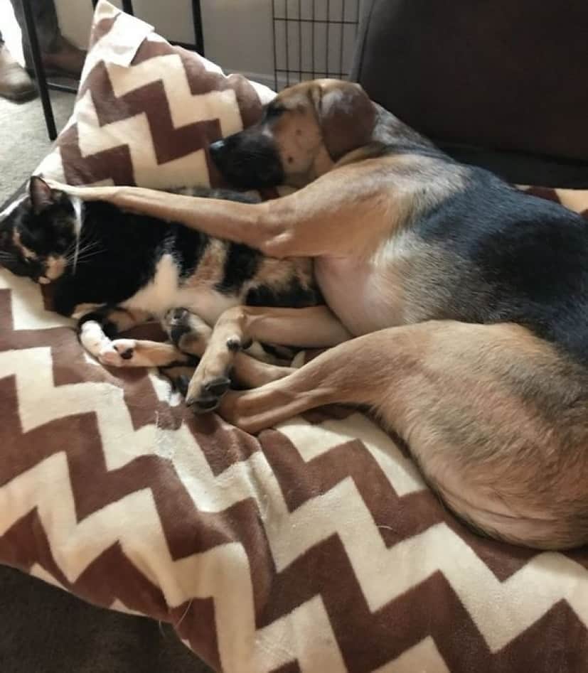 cuddling