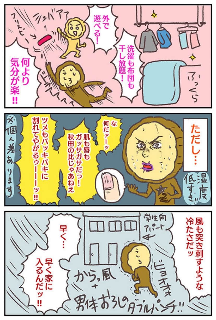 ibib13_3