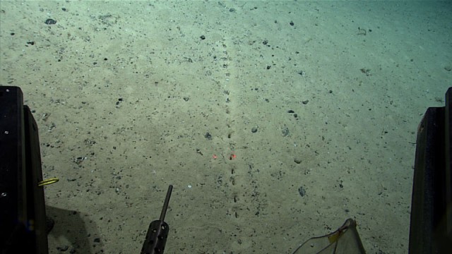発見した科学者も困惑。海底に直線状に並ぶ謎の穴の正体は？